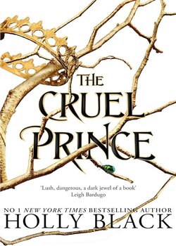 the cruel prince book