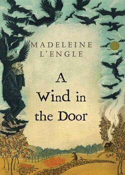 a wind in the door book cover